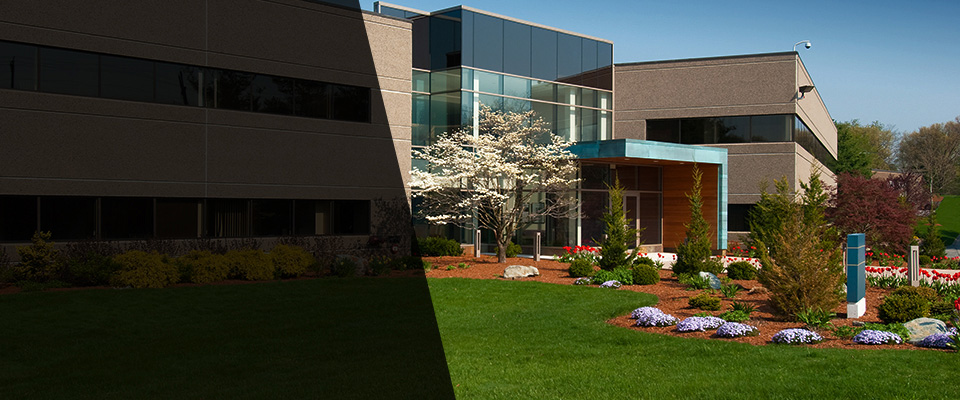 Mullins Landscapers