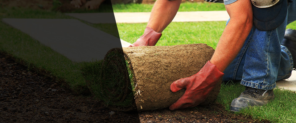 Mullins Landscapers